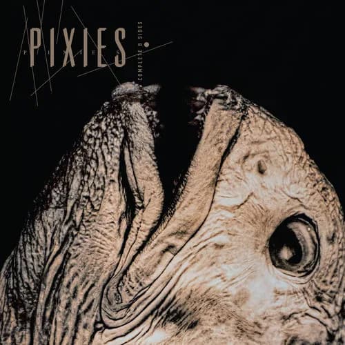 Complete B-Sides: 1988-97
