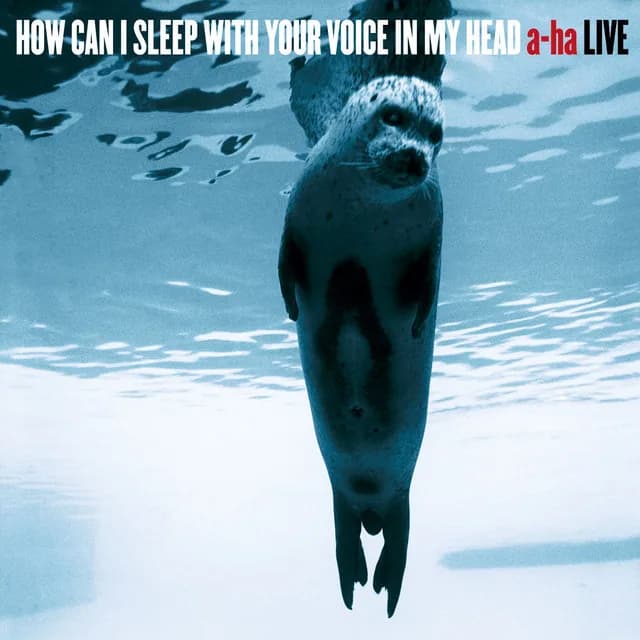 How Can I Sleep With Your Voice In My Head