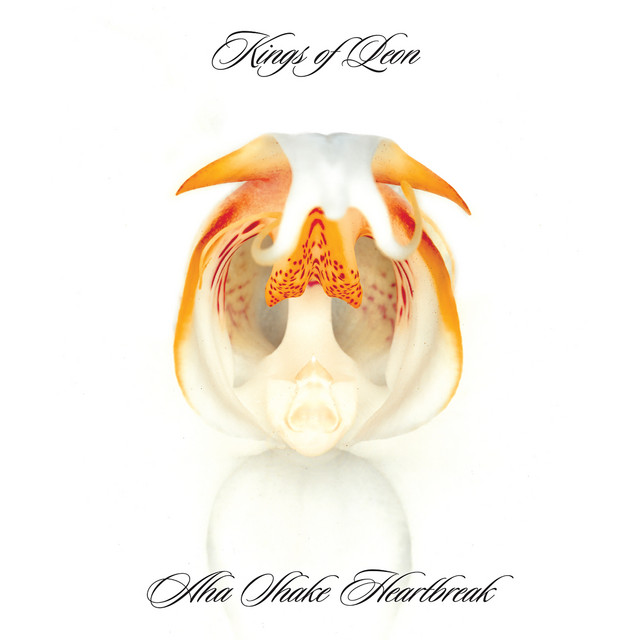 Kings of Leon - Aha Shake Heartbreak