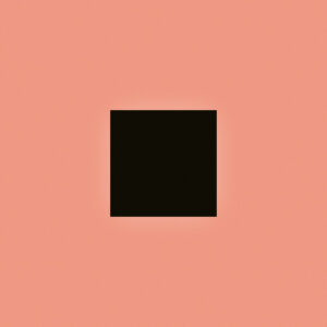 Bon Iver - SABLE