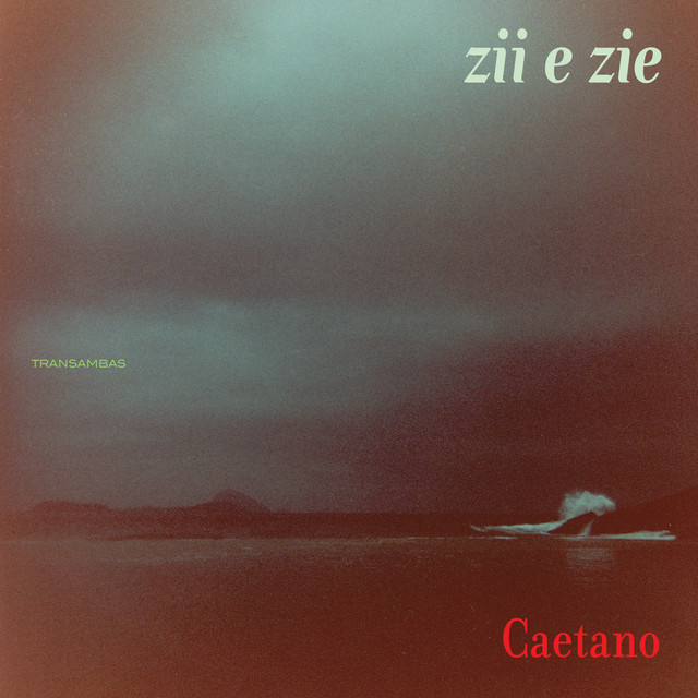 Caetano Veloso - Zii e Zie