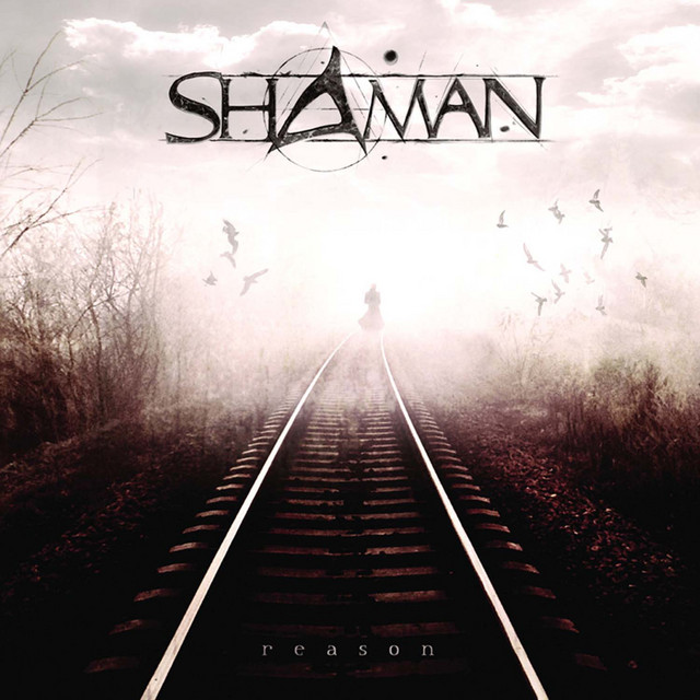 Shaman - Reason