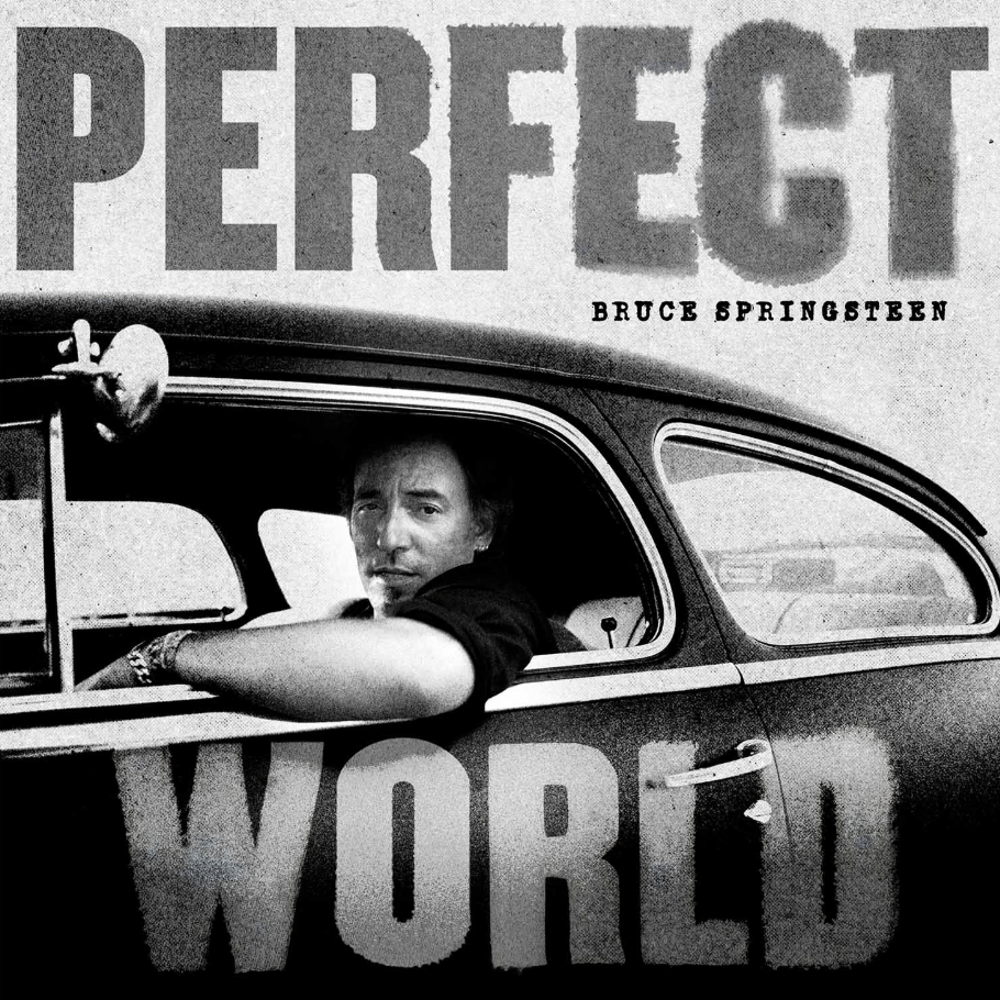 Bruce Springsteen - Perfect World